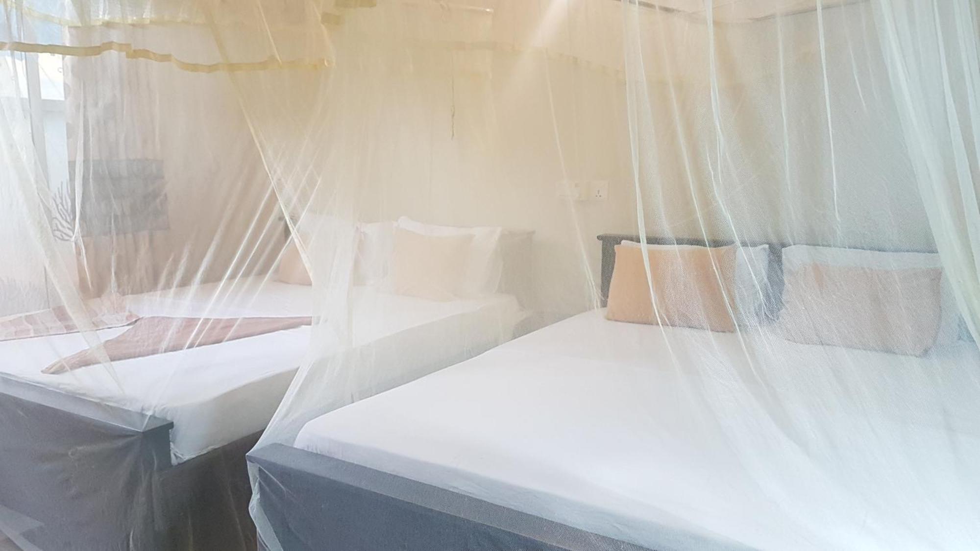 Pinki Nest Hotel Mirissa Eksteriør billede